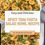 Spicy Thai Pasta Salad Bowl Recipe