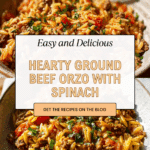 Delicious Ground Beef Orzo Recipe for Everyone Recipe