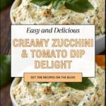 Zucchini Dip Recipe