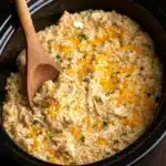 Crock Pot Chicken and Rice Recipe