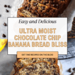 Super Moist Chocolate Chip Banana Bread Recipe