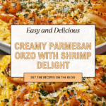 One Pan Parmesan Orzo with Shrimp Recipe