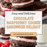 Chocolate Raspberry Sandwich Cookies Recipe