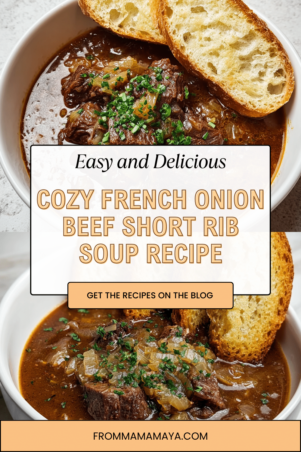 French Rib Boy French Onion Beef Short Rib Soup: Comfort in a Bowl