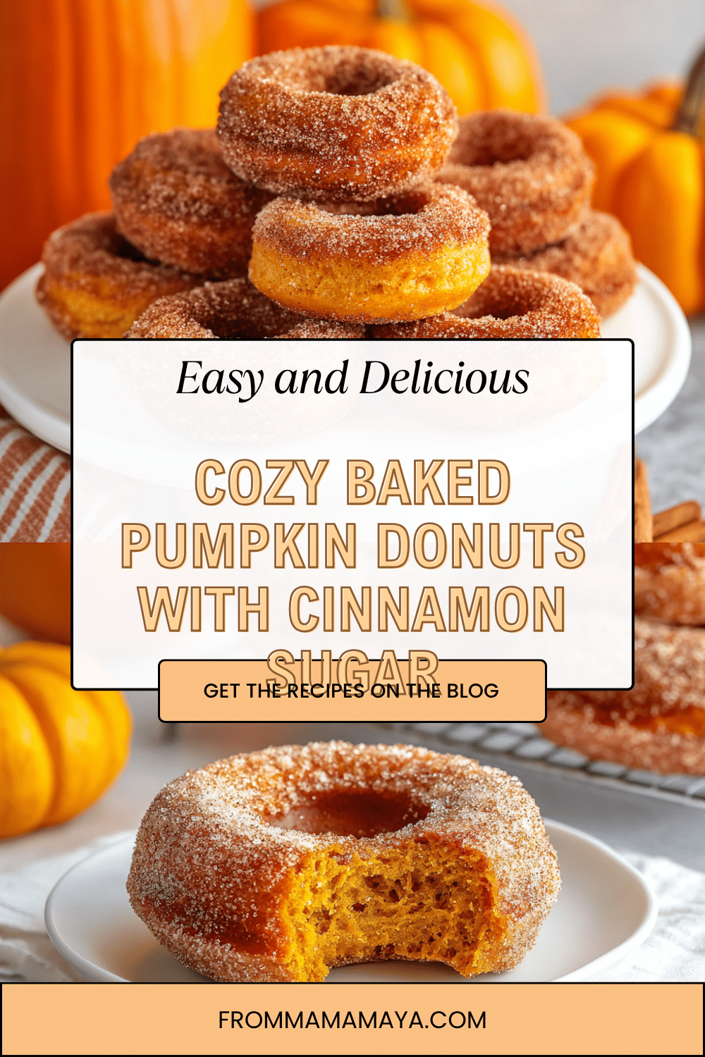 Easy Baked Pumpkin Donuts - Cozy Autumn Delight