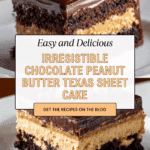 Chocolate Peanut Butter Texas Sheet Cake Recipe
