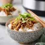 Dump and Go Crockpot Soy Honey Garlic Chicken Recipe