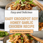 Dump and Go Crockpot Soy Honey Garlic Chicken Recipe