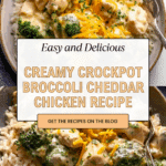 Creamy Broccoli Cheddar Chicken Delight Recipe