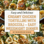 Easy Creamy Tortellini with Chicken and Broccoli Recipe