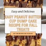 bowl peanut butter cup dump cake delight devours time Recipe