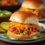 Easy Cajun Chicken Sloppy Joes Recipe