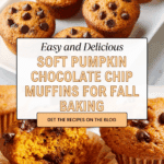 Pumpkin Chocolate Chip Muffins Recipe