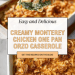 Monterey Chicken One Pan Orzo Recipe