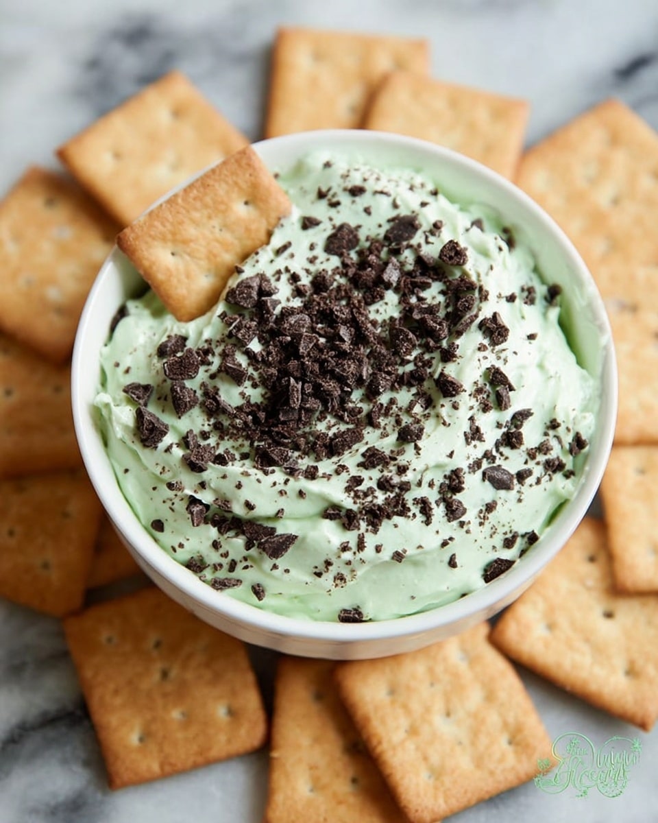 A white bowl filled with a thick, light green creamy dip mixed with small dark chocolate pieces, topped with more crushed chocolate bits scattered over the top; the bowl is surrounded by light brown square crackers arranged in a circle on a white marbled surface, one cracker partly dipped into the creamy mixture. photo taken with an iphone --ar 4:5 --v 7