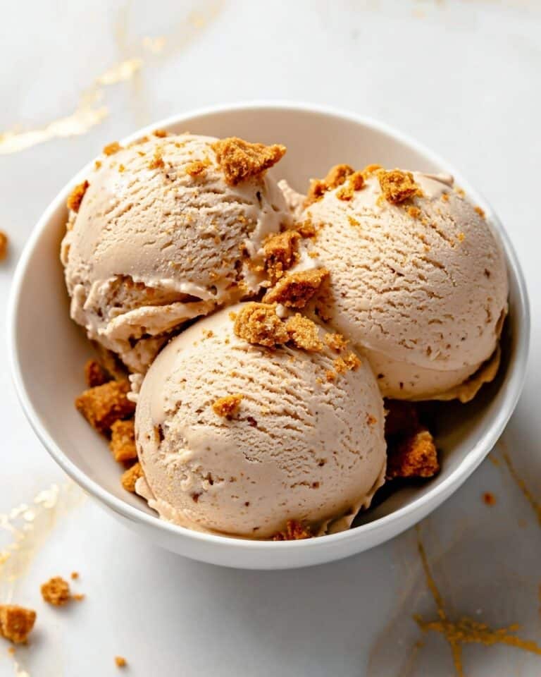 Ninja Creami Biscoff Cookie Butter Protein Ice Cream Recipe