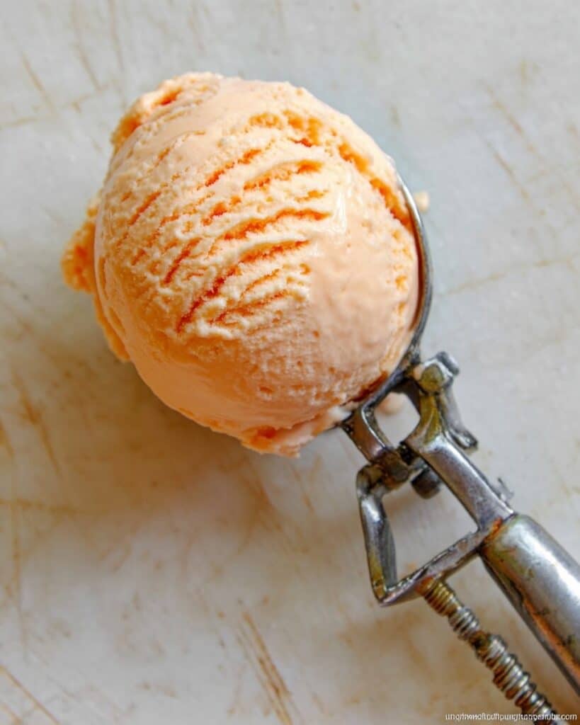Nectarine Frozen Yogurt Recipe